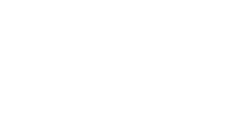 Zubr Curio